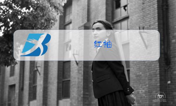 红袖 2018 冬装 代购图片